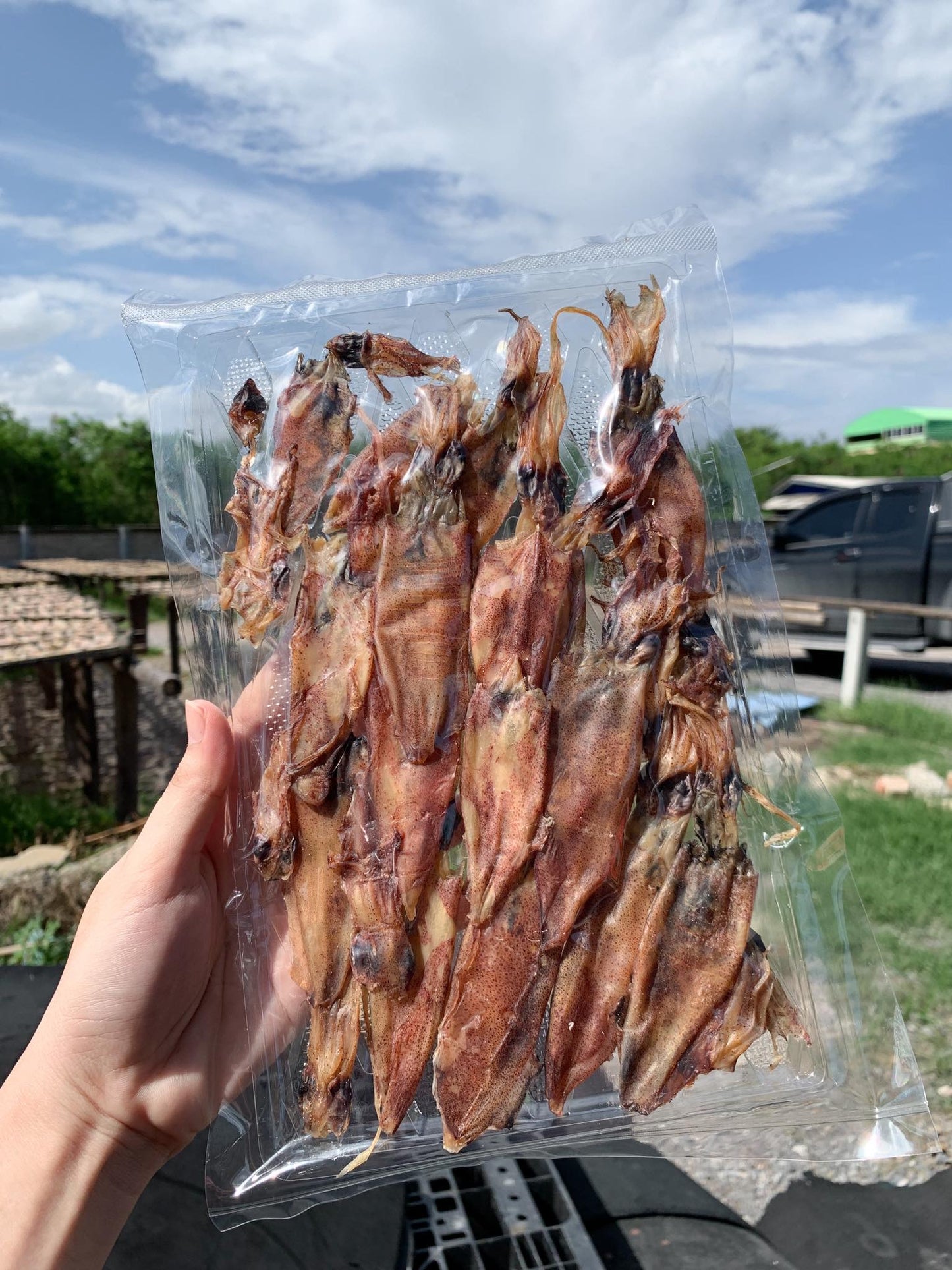 Dried squid หมึกกลาง image 0