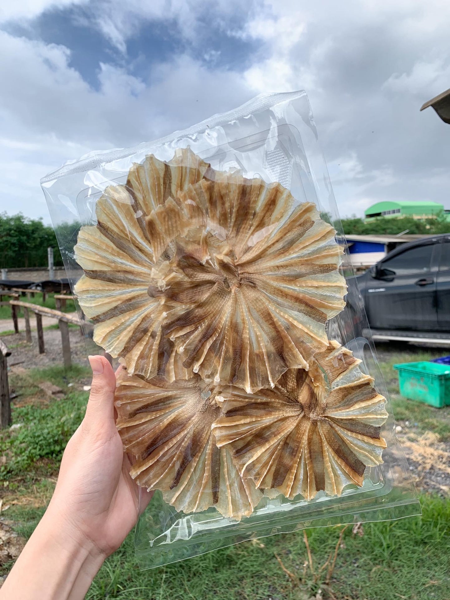 Dried fish ปลาวง image 0