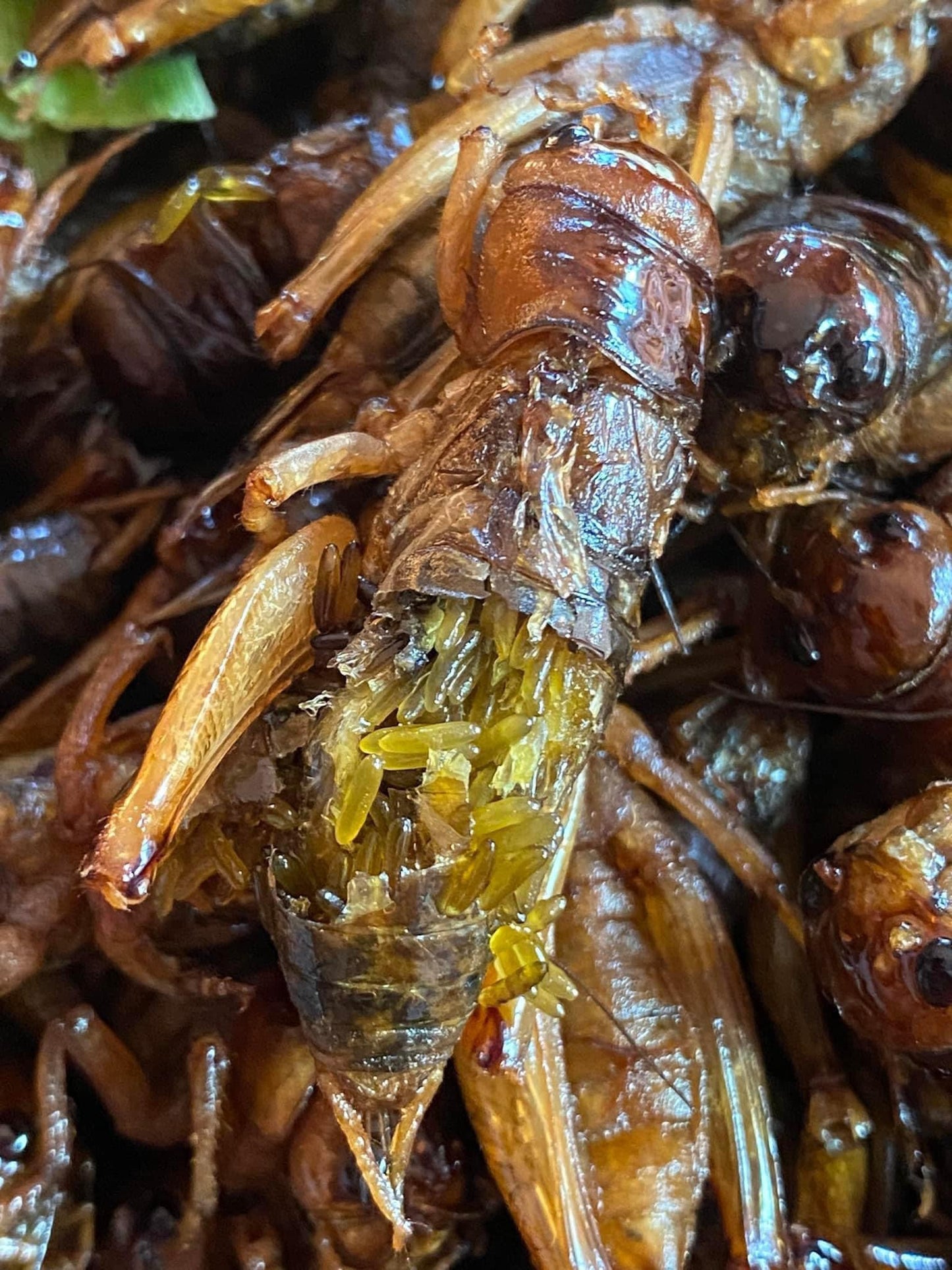 จิกกุ่งไข่ทอด 500 g. image 0