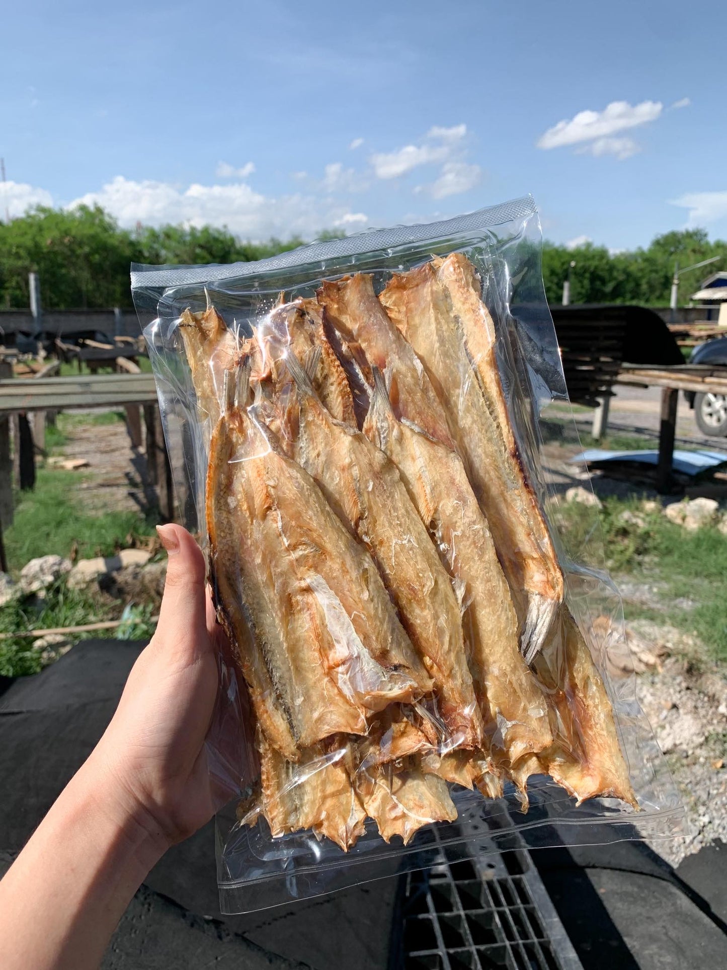 Dried snakehead fish ปลาช่อนแห้ง image 0