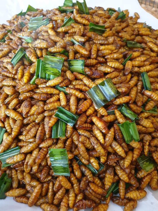 Fried Silkworms ตัวไหมทอด image 0