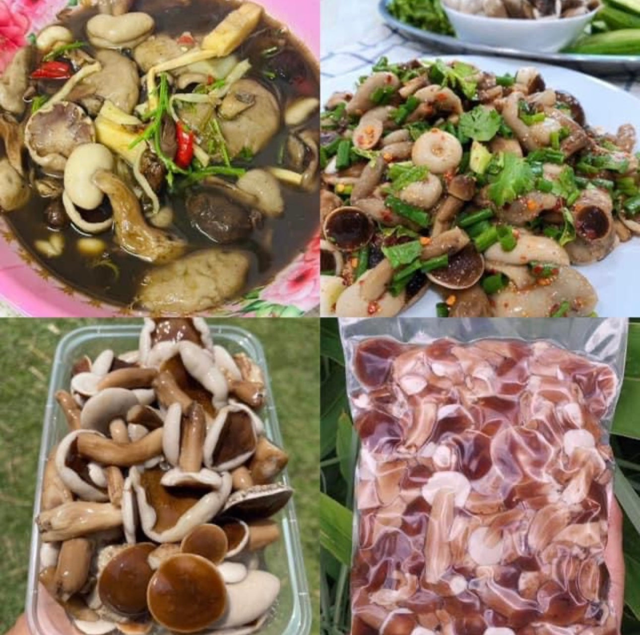 เห็ดผึ้งขม image 0