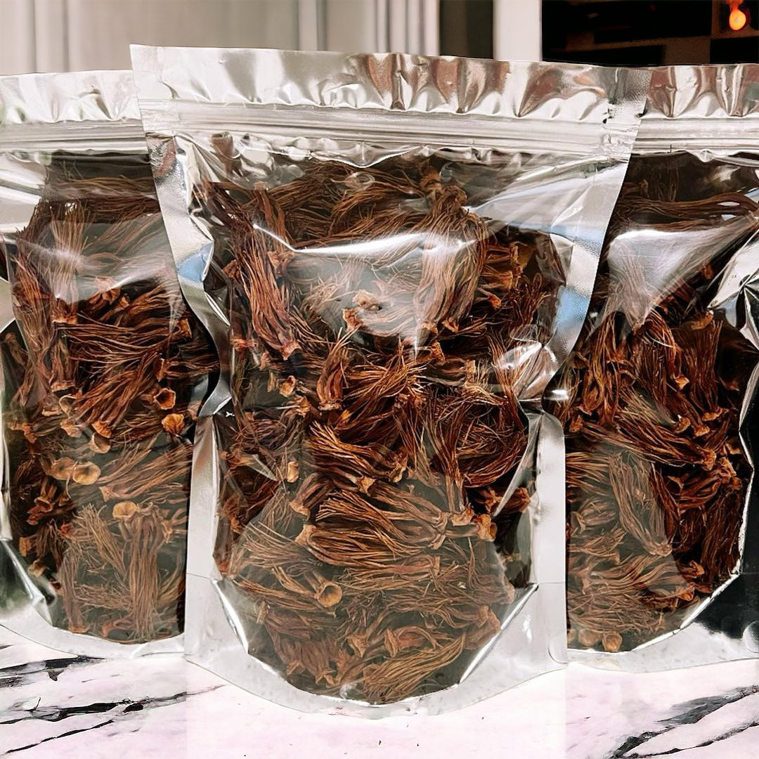 Dried Red Cotton Tree Flower ดอกงิ้วแห้ง image 0