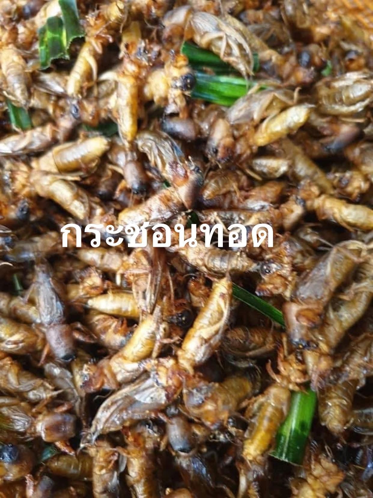 แมงกะชอน 500 g. image 0