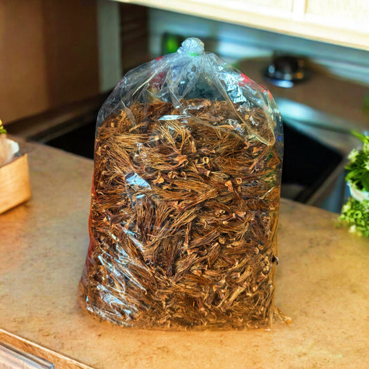 Dried Cotton Flower ดอกงิ้วแห้ง image 0