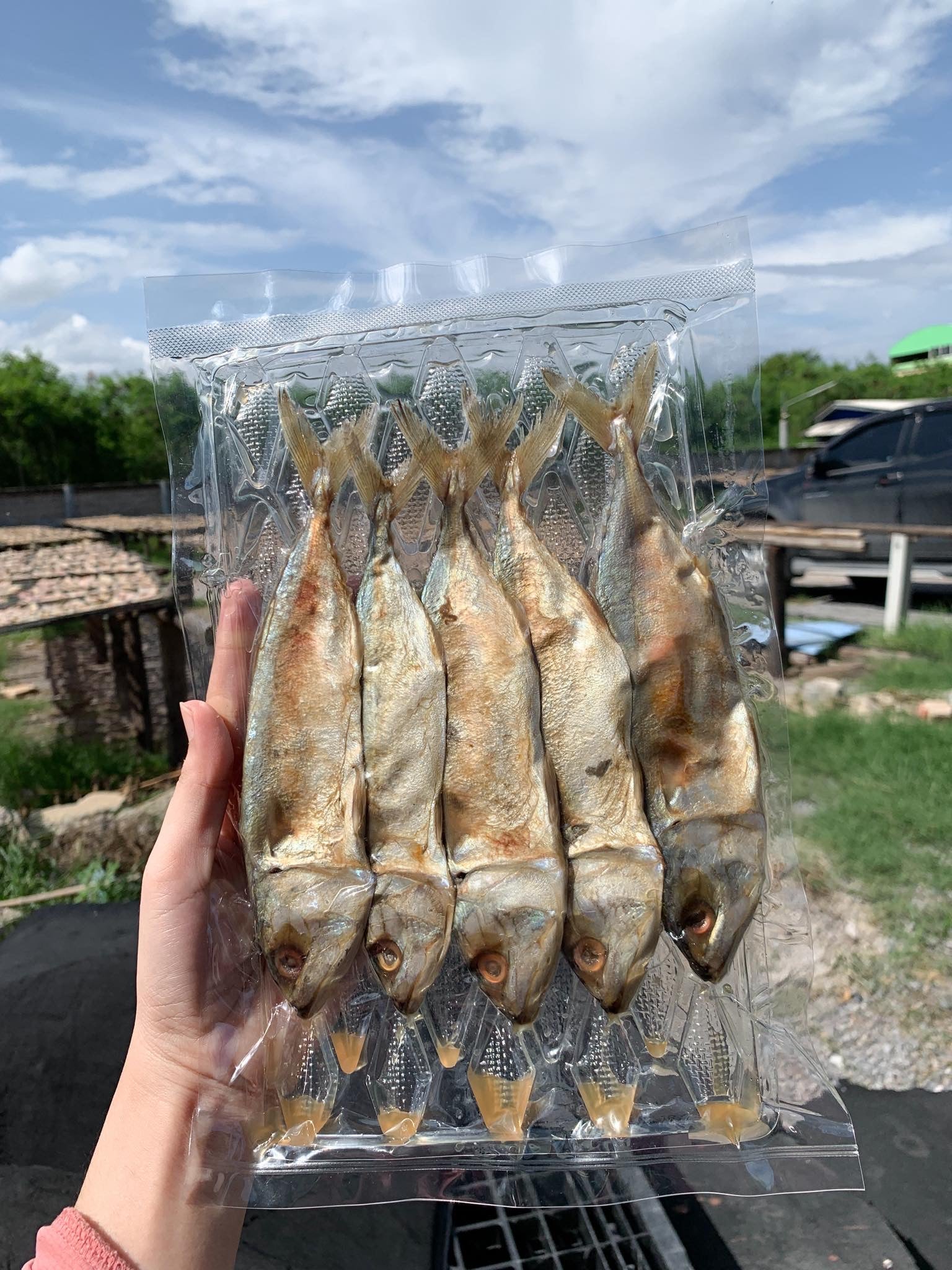 Mackerel ปลาทูหอม image 0
